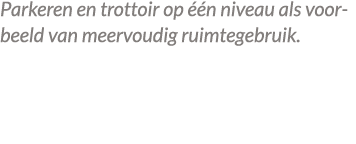 Parkeren en trottoir op  n niveau als voorbeeld van meervoudig ruimtegebruik.