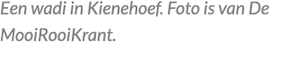 Een wadi in Kienehoef. Foto is van De MooiRooiKrant.