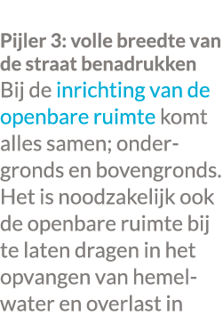  Pijler 3: volle breedte van de straat benadrukken Bij de inrichting van de openbare ruimte komt alles samen; ondergr...